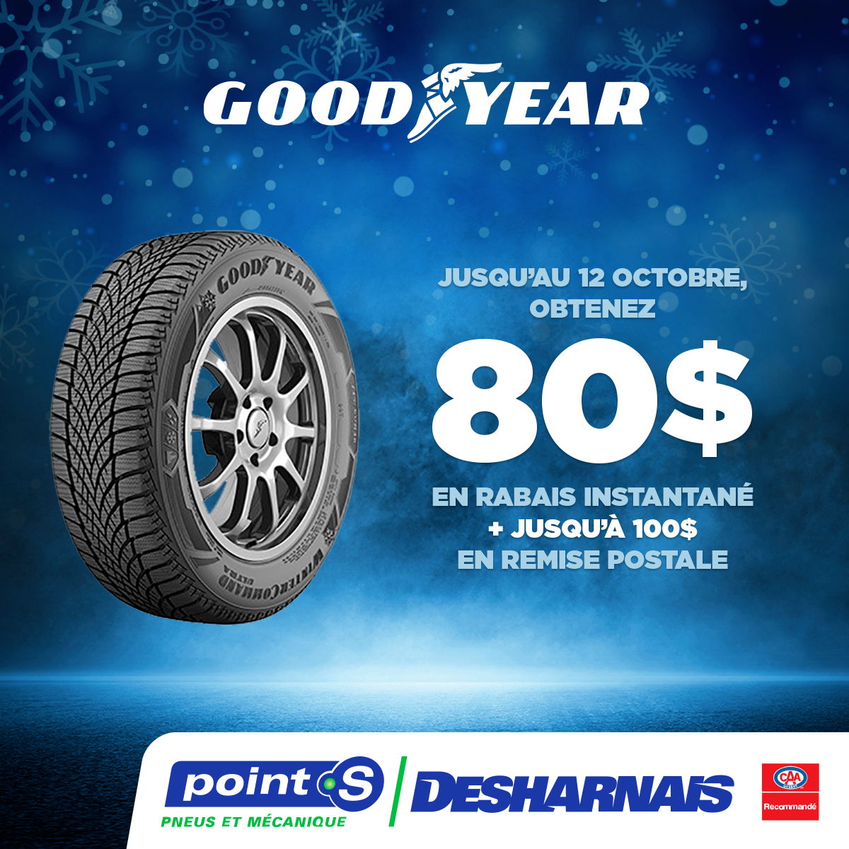 Goodyear_A2025-points