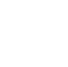 logo_caa_white