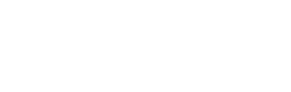 logo_flexiti