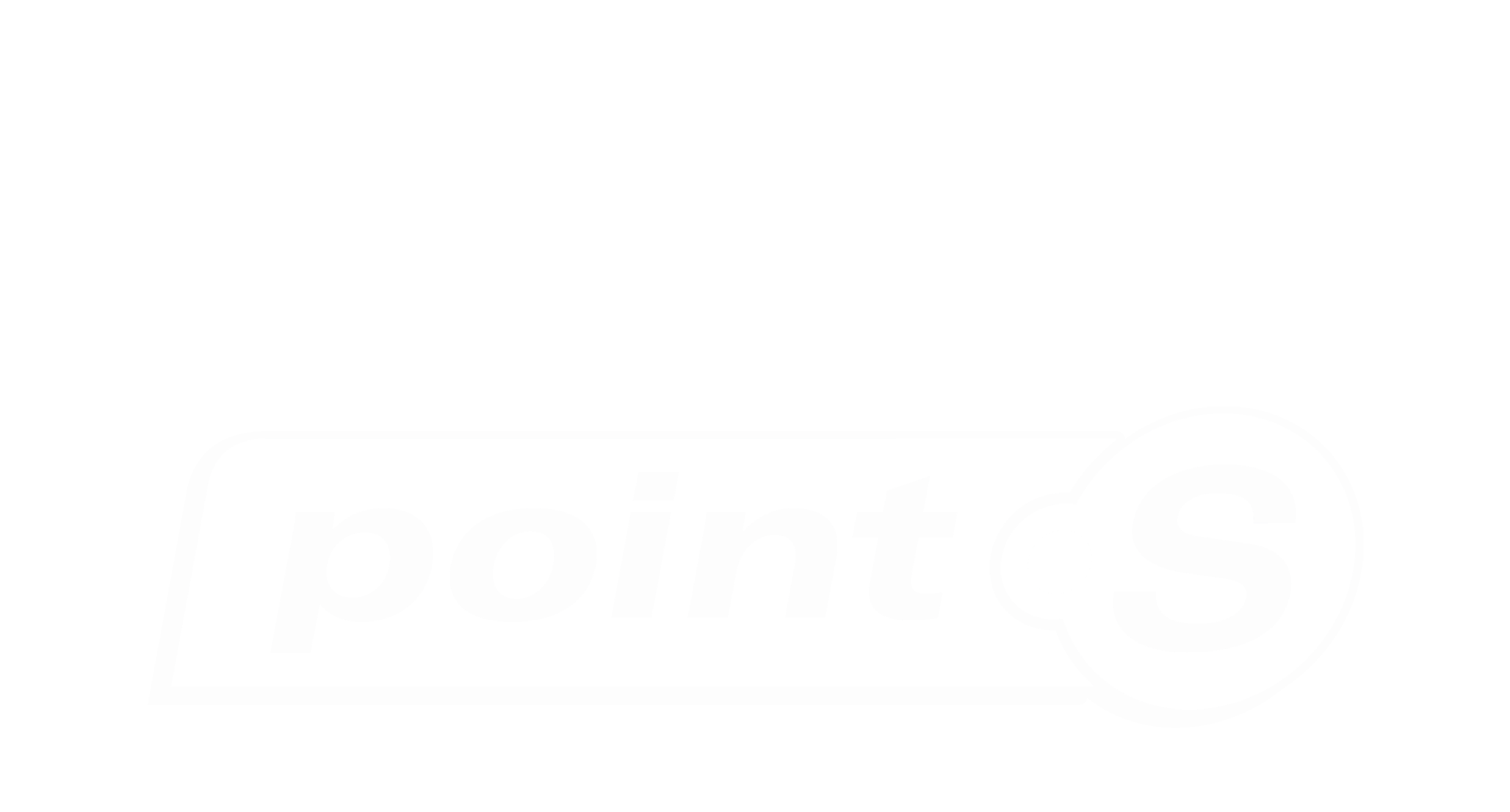NAPAPointS
